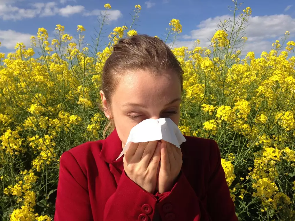 Prášky Na Alergii