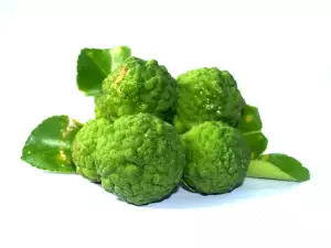 Bergamot